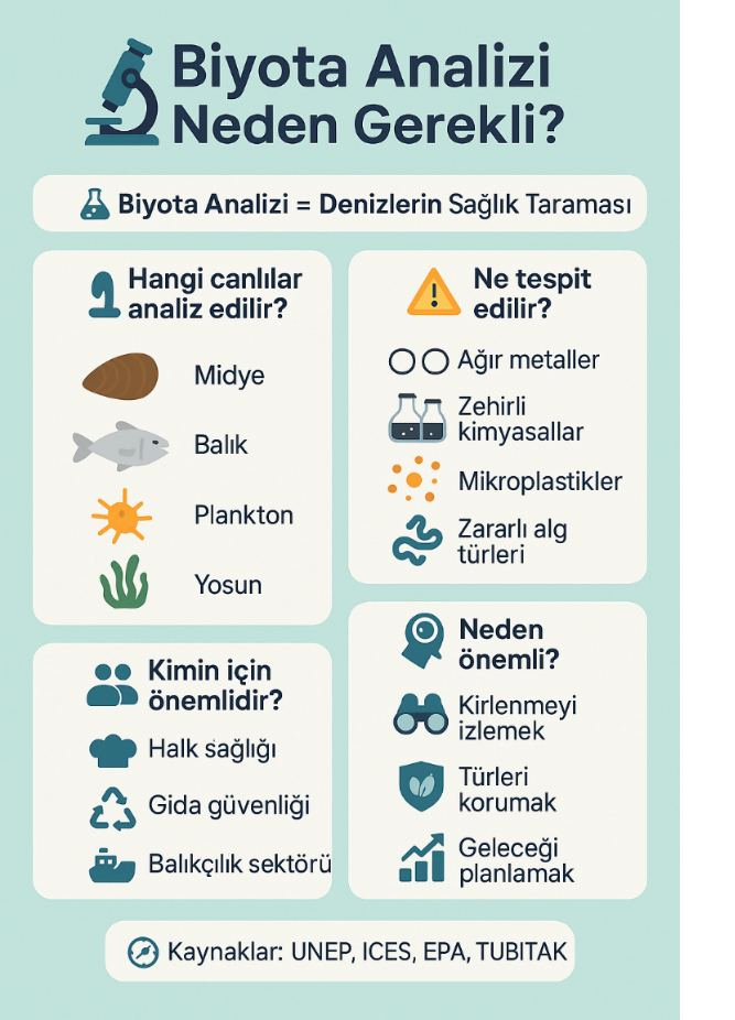 BİYOTA ANALİZLERİ NEDEN ÖNEMLİDİR
